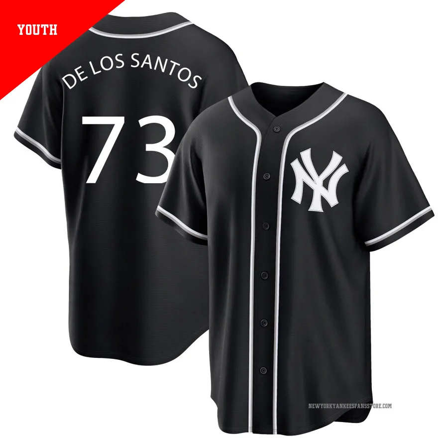 Youth New York Yankees Yerry De Los Santos ＃73 Black Replica Yerry De los Santos Fashion Out Jersey